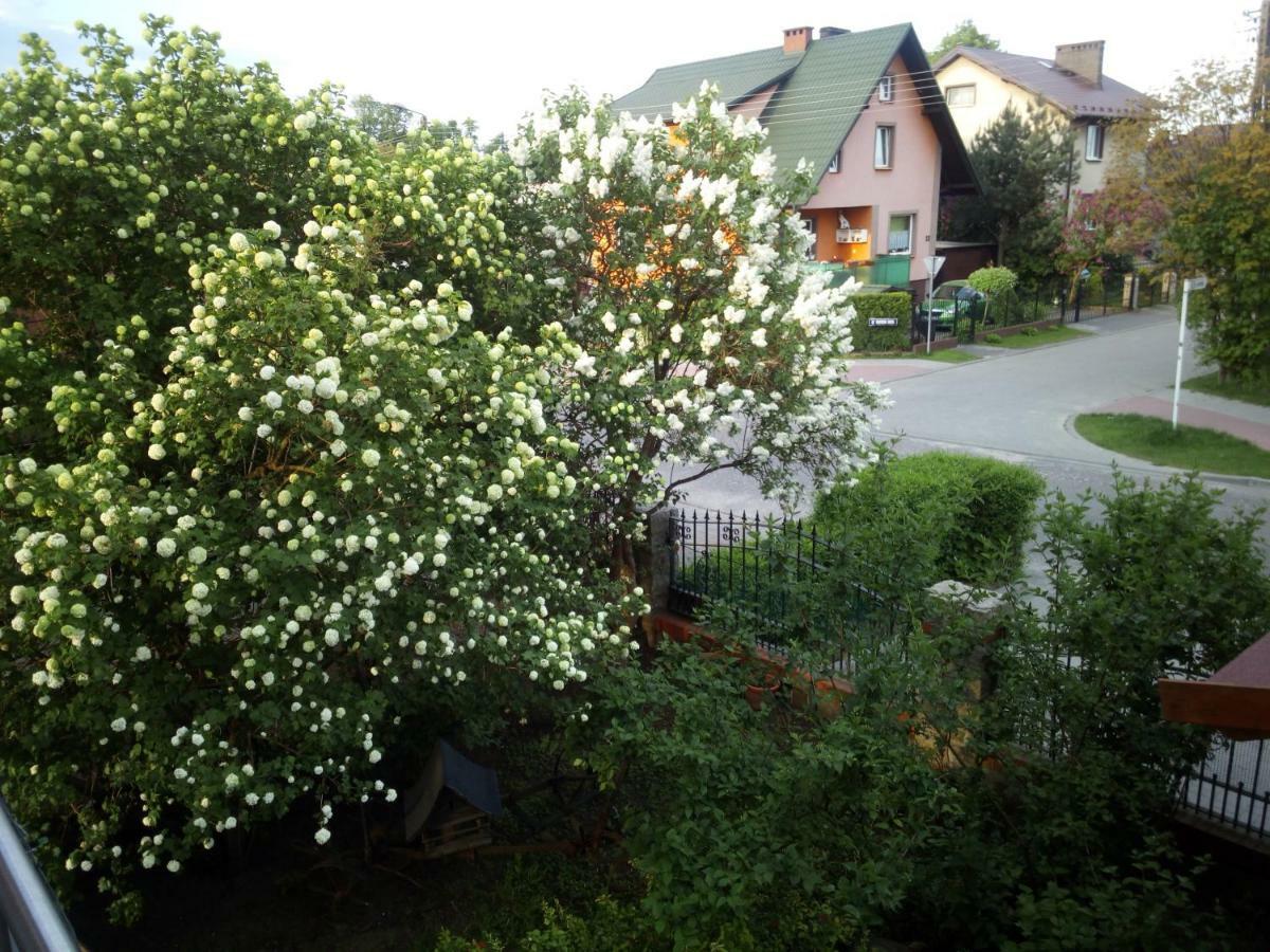 Mieszkanie Na Zielonej Tanie I Wygodne Noclegi Człuchów 외부 사진